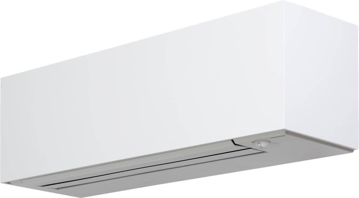 Toshiba Daiseikai 10
